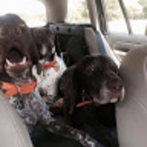 Meet your Posher, Jackie